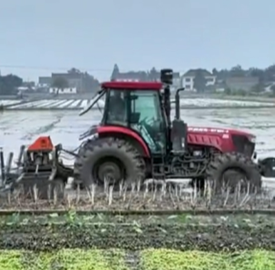 您負(fù)責(zé)統(tǒng)籌全局，它負(fù)責(zé)腳踏實(shí)地